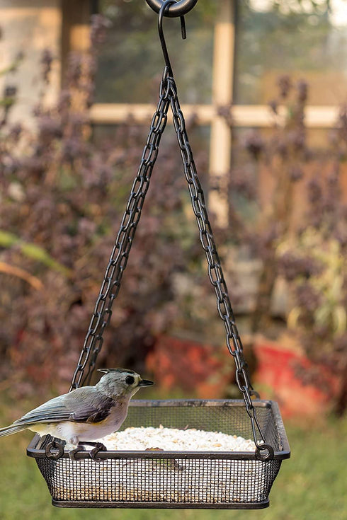 Hanging Bird Feeder with Mesh Tray, Black